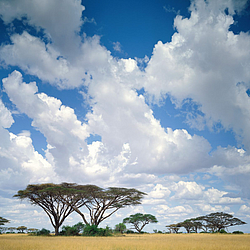 Masai-Mara-Game-Reserve-Kenya-FlightCenter